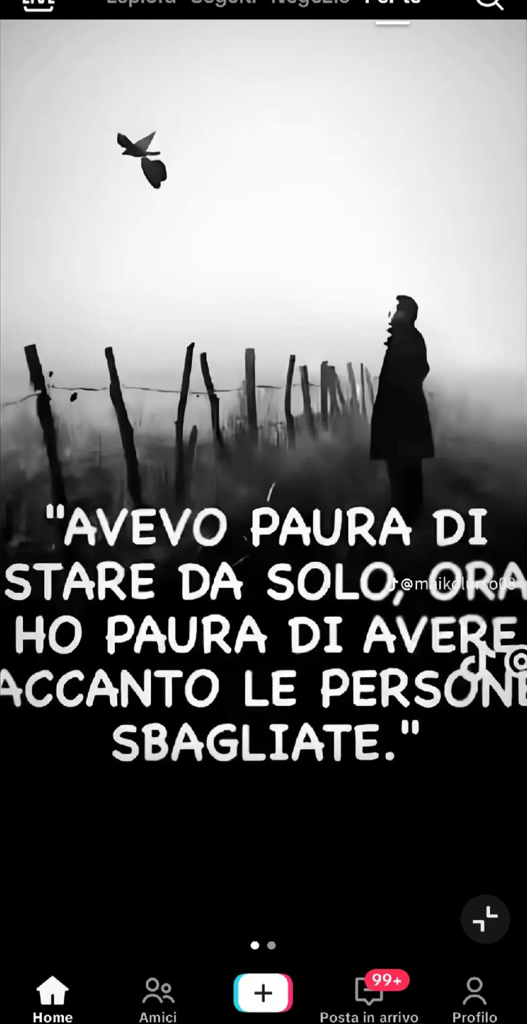 @rocco letizia ⚜️🐴