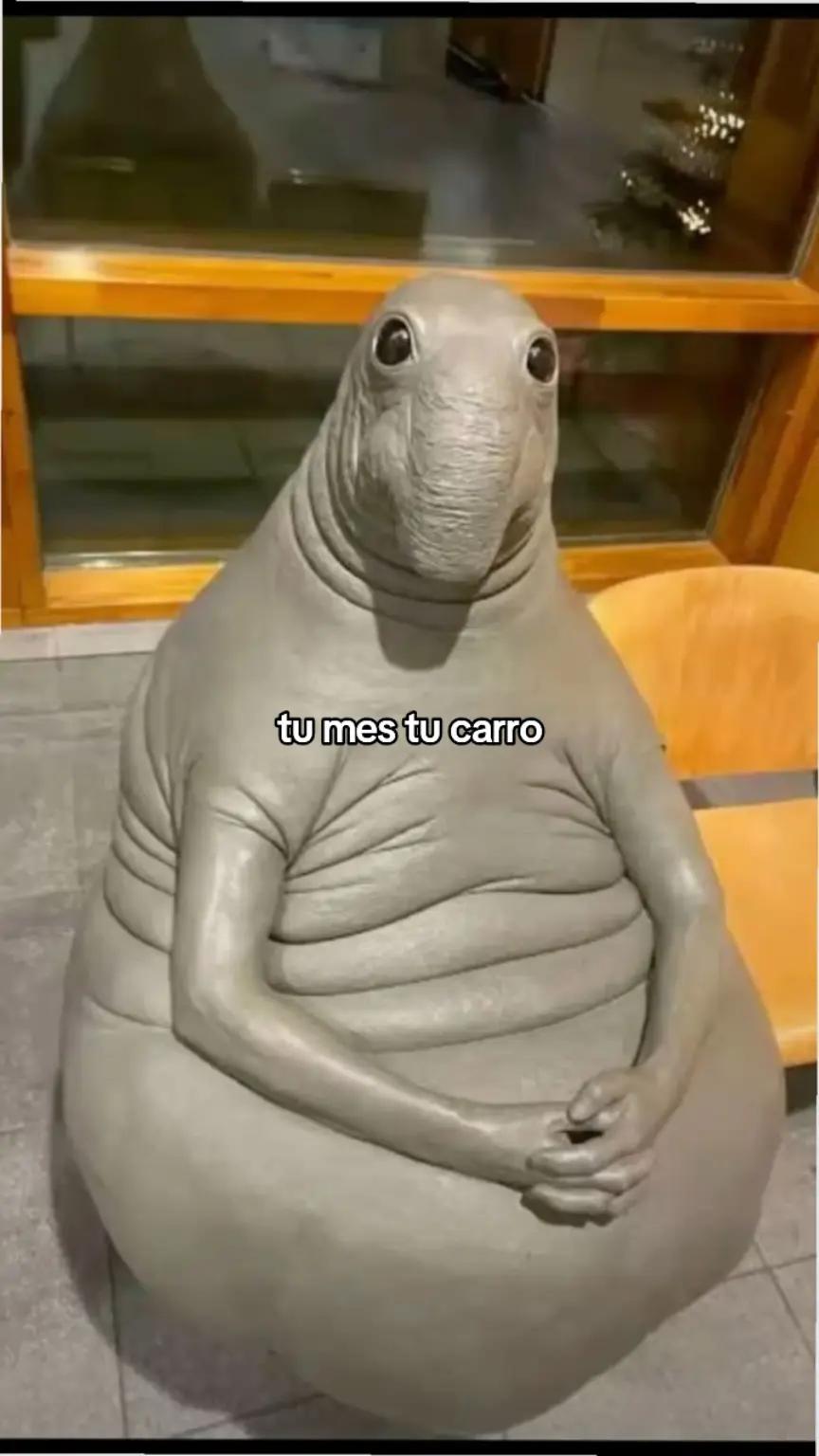 @𝐣𝐳𝐩𝐛𝐞𝐬𝐭