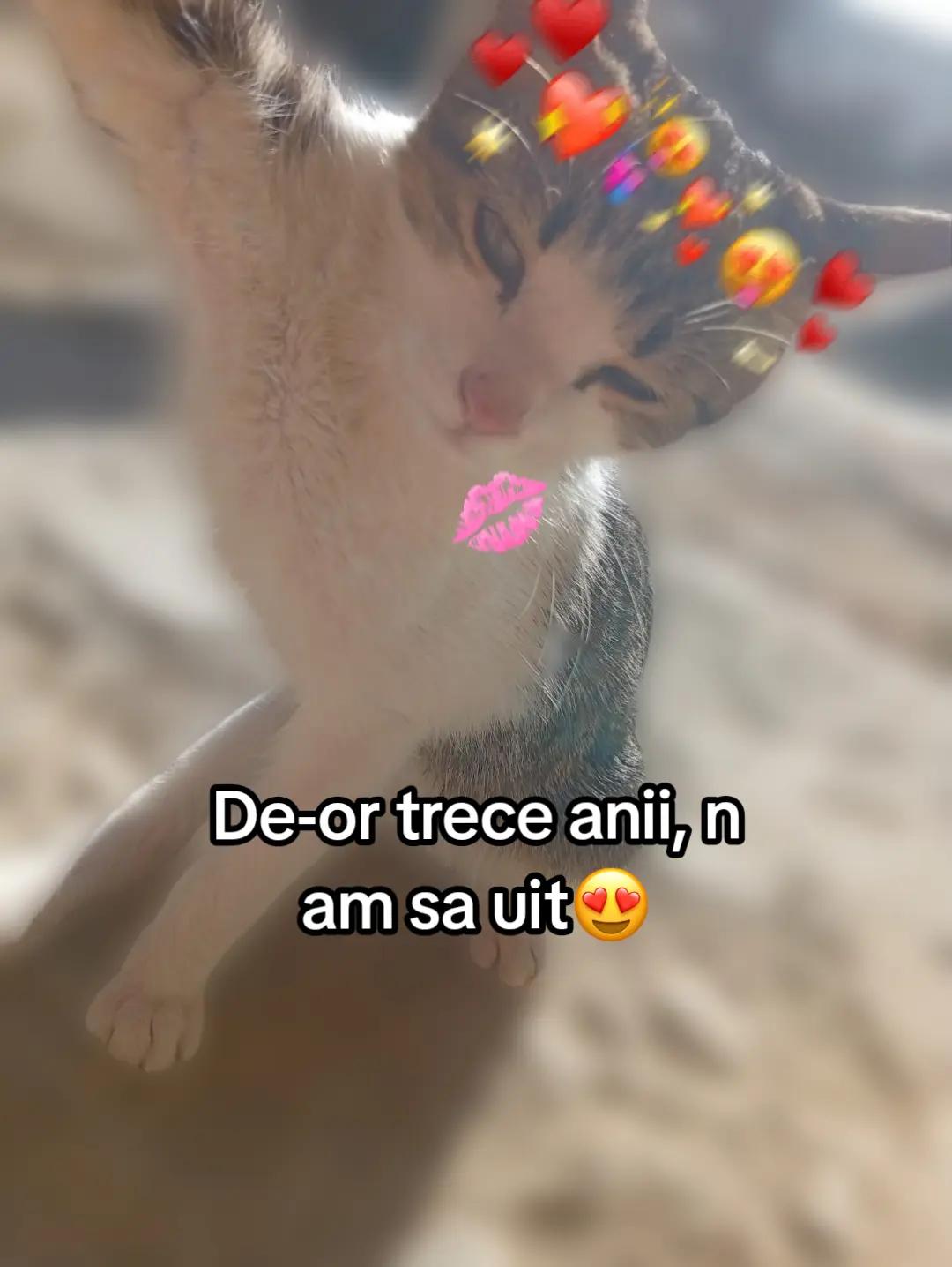 @𝑮𝑰𝑵𝑨&bull;𝑨𝑩𝑬𝑳 𝑴𝑼𝑺𝑰𝑪❤️