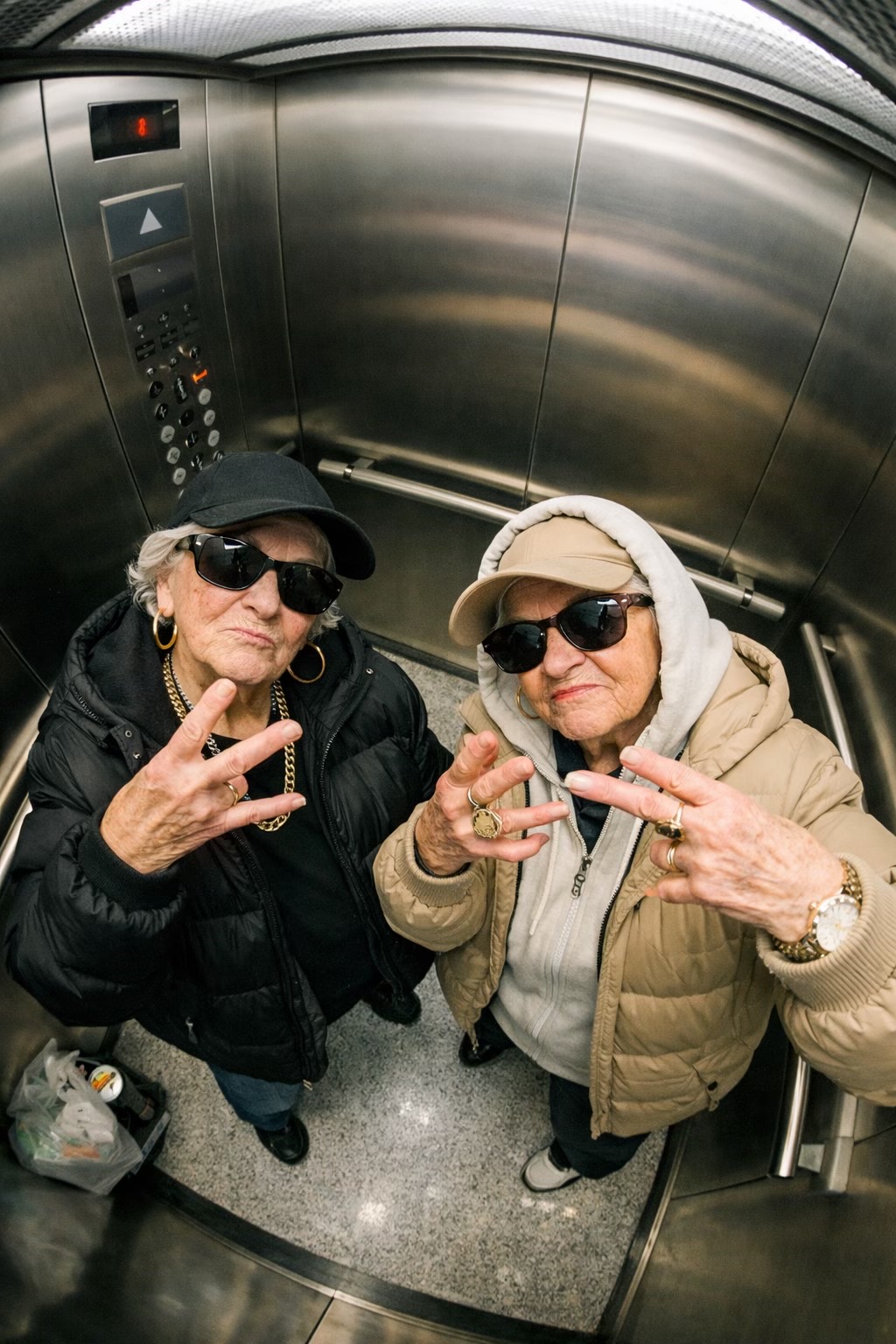 @gang_cat