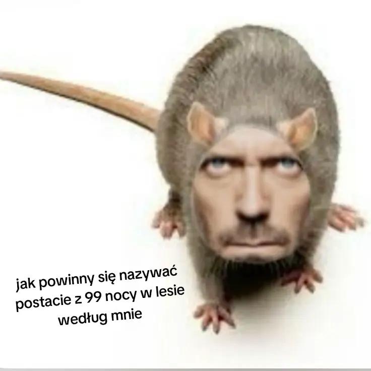@𝓰𝓮𝓳𝓸𝔀𝓼𝓴𝓳_𝓱𝓪𝓰𝓲
