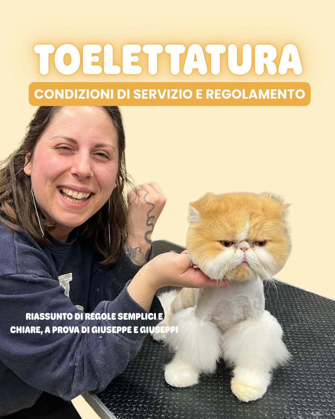 @Palle di pelo - Toelettatura