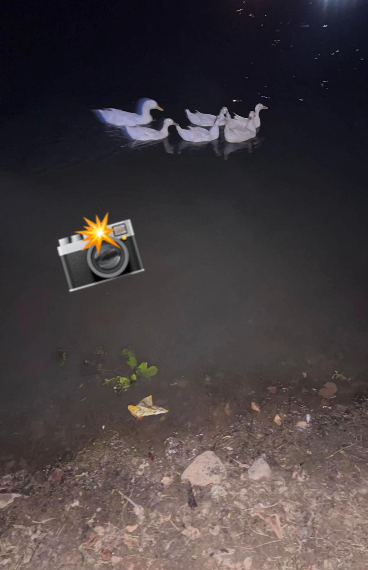 @𝓛𝓲𝓵𝓵𝔂