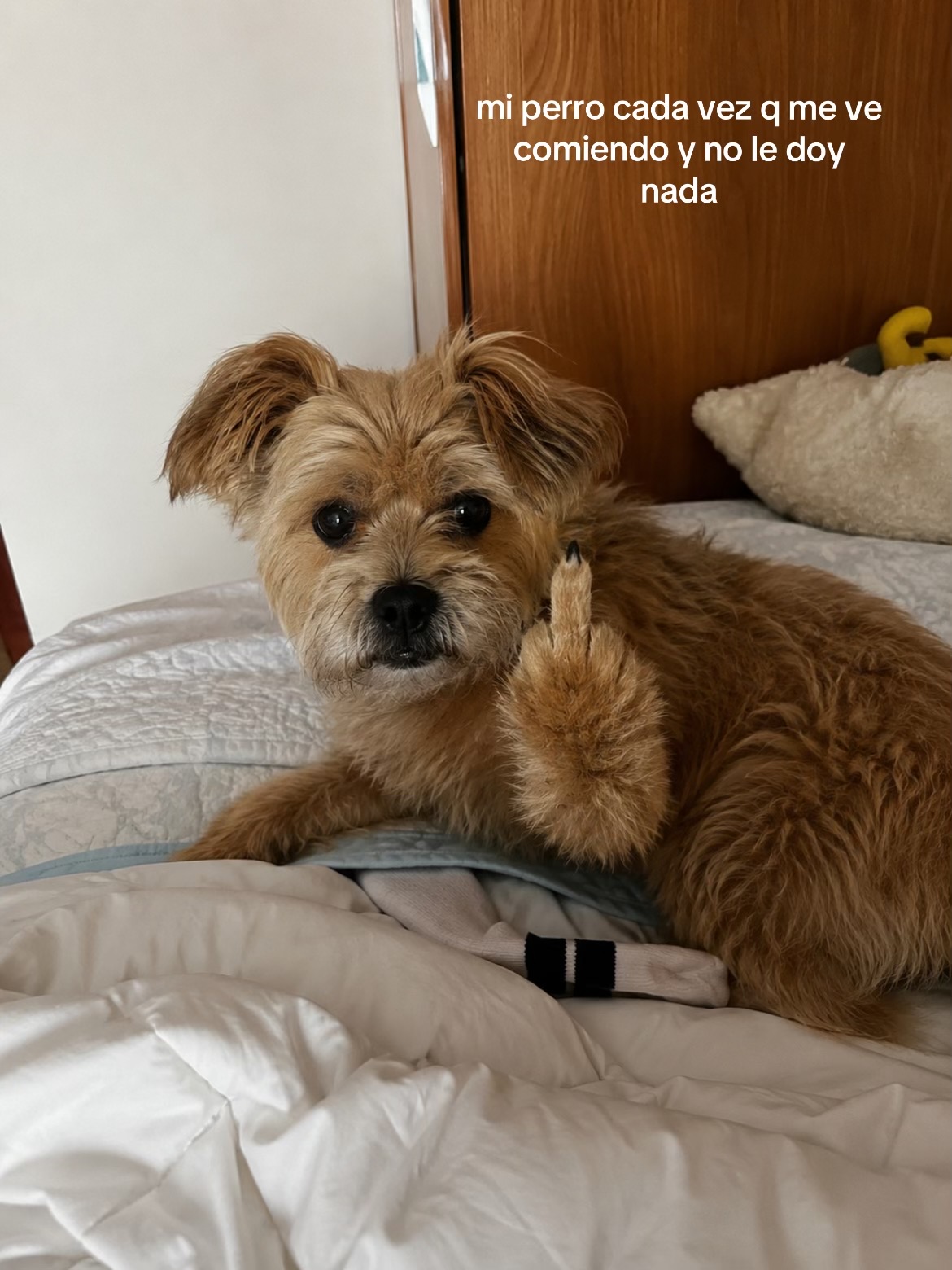 @anegarcia