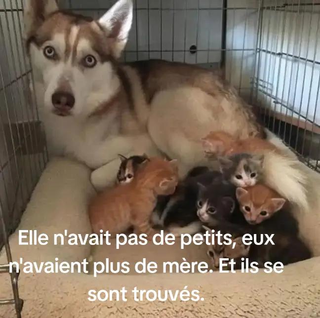 @bernard sarlande