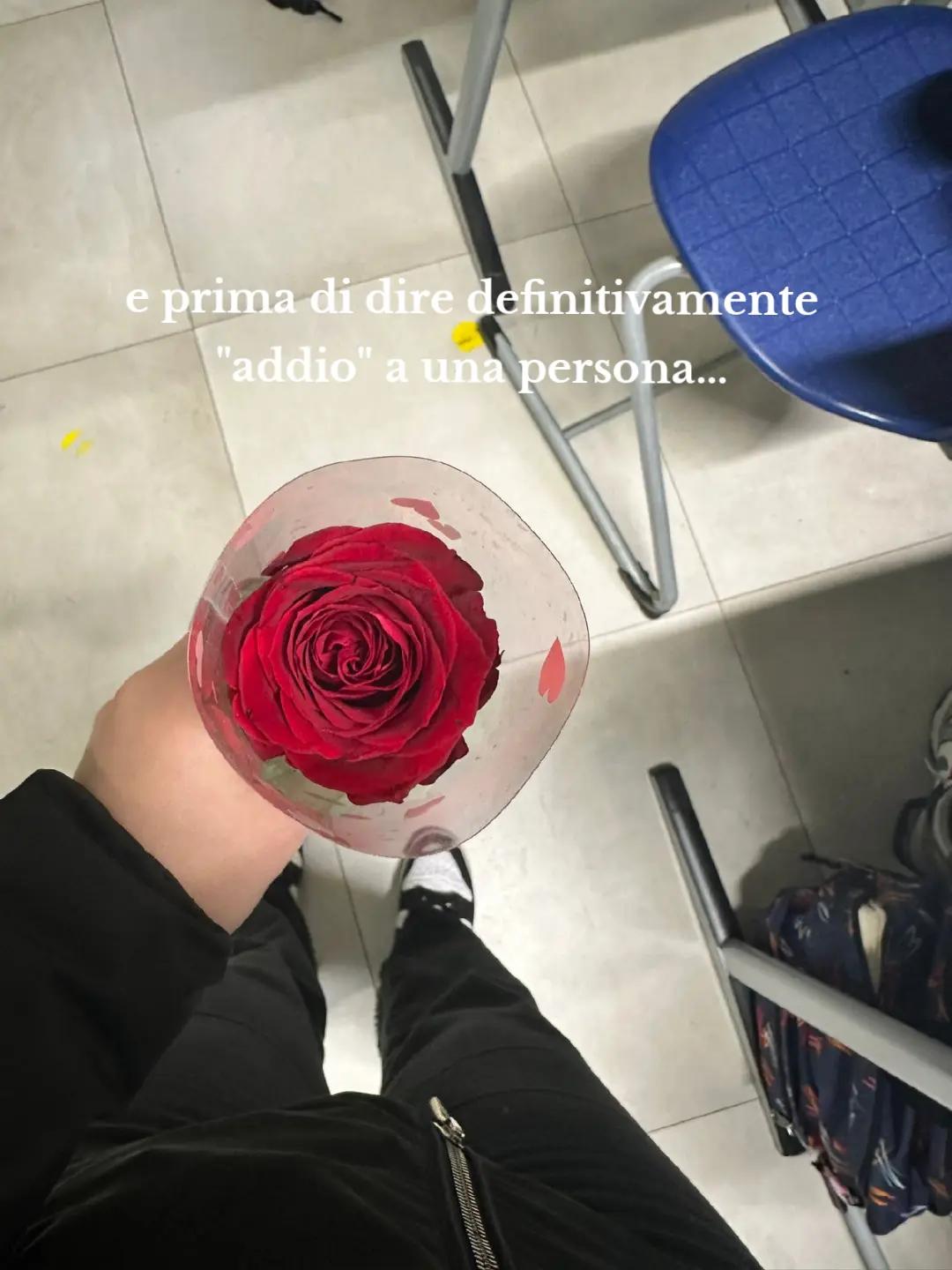 @Agne🗣