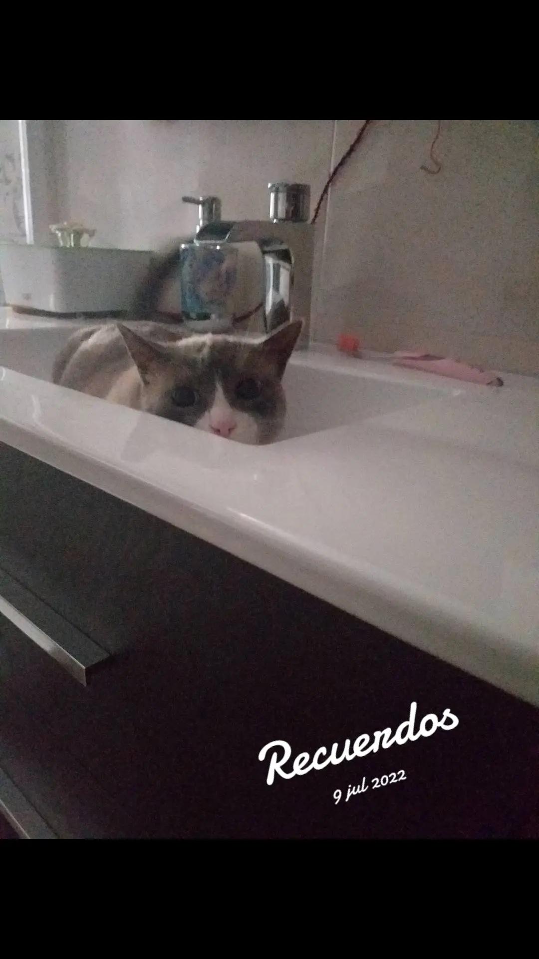 @Mensi