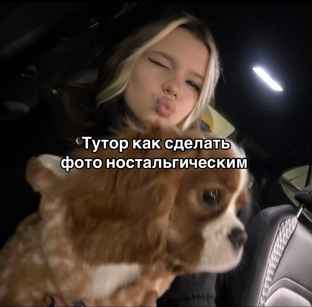 @кроликс 🐰🪽