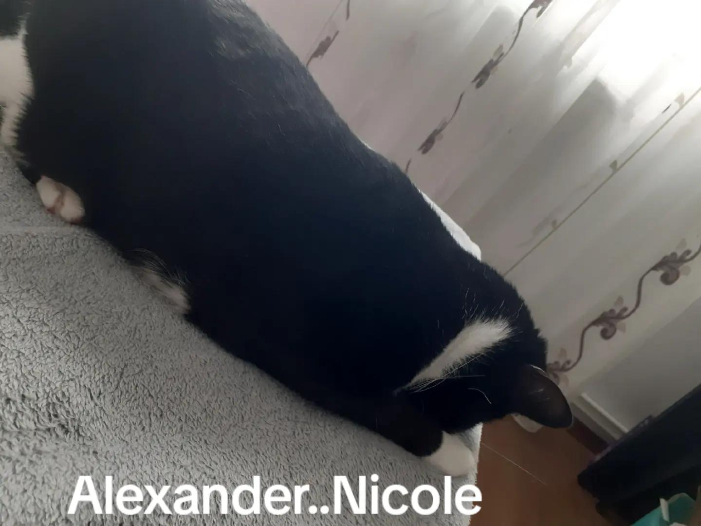 @Alexander..Nicole