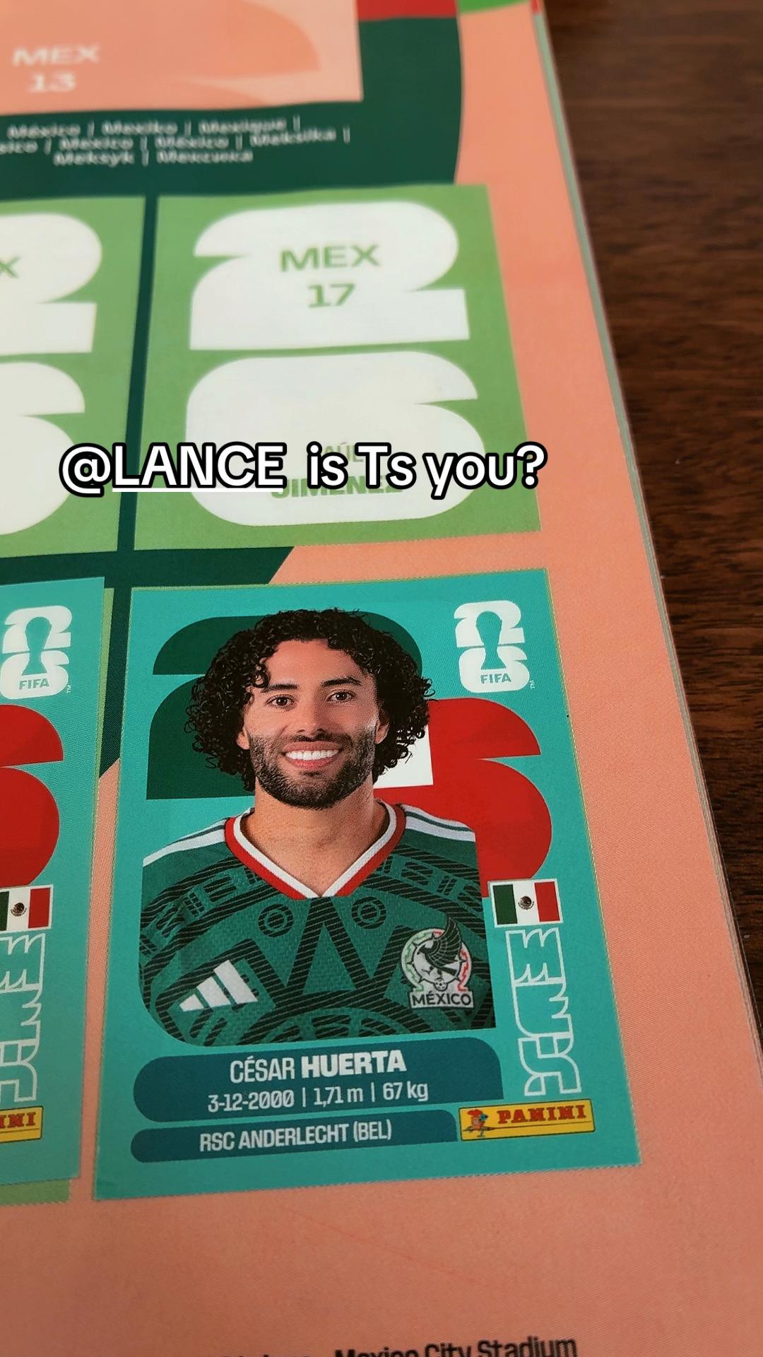 @🐍