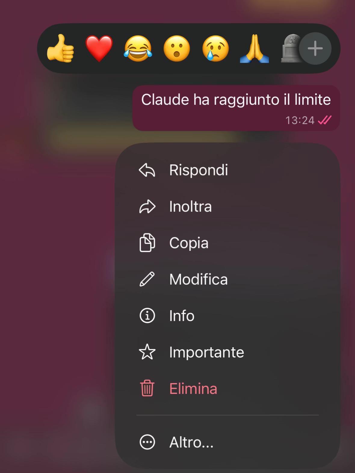 @SofiaSpennato