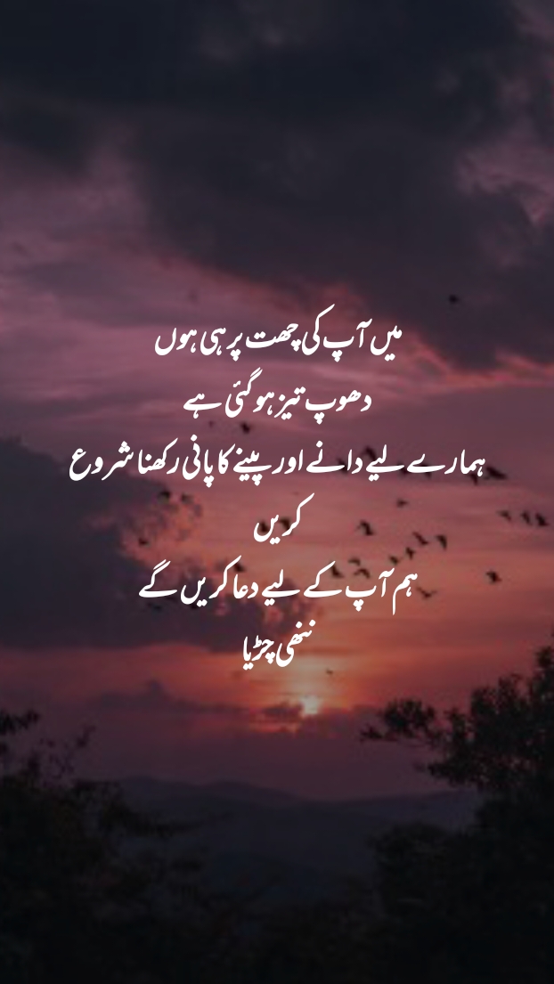 @sanaashraf