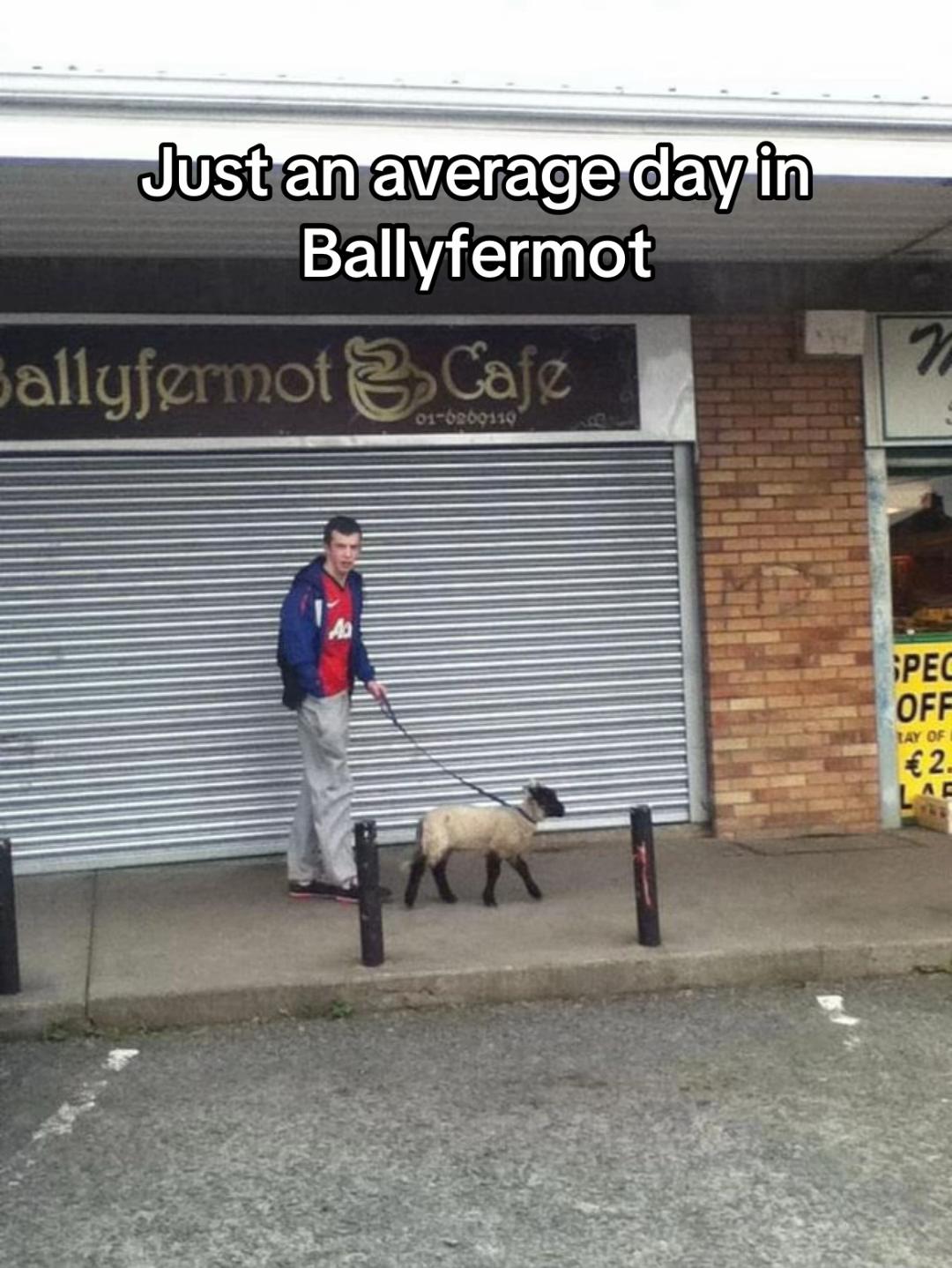 @Classic Irish Videos