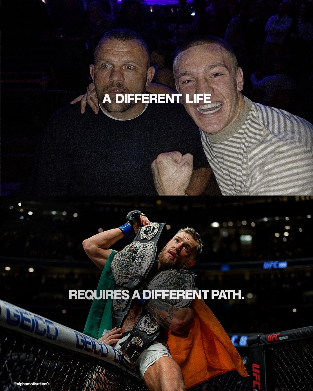 @Alpha Motivation