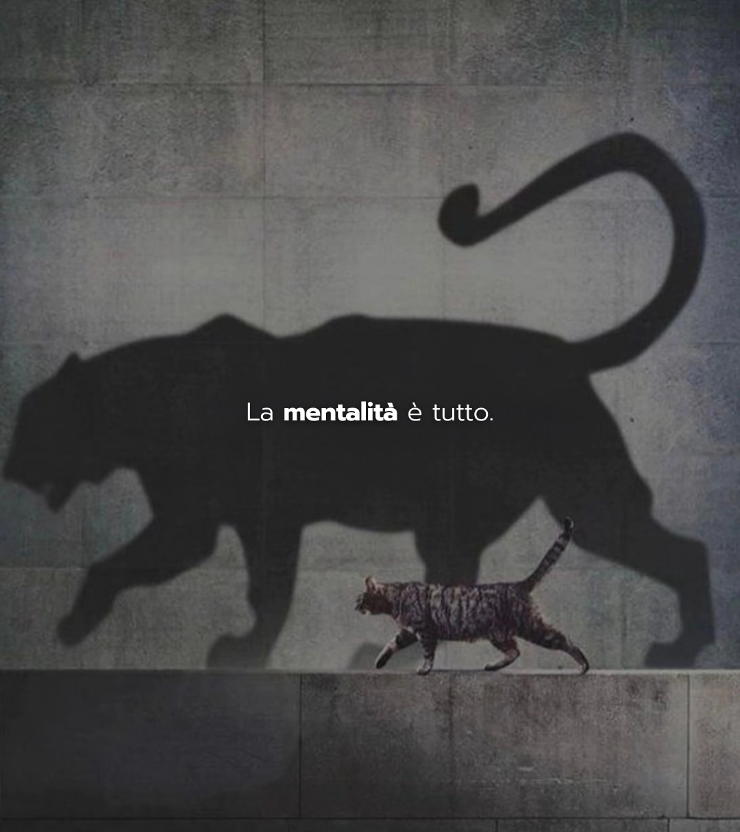 @Gioacchino Lupo