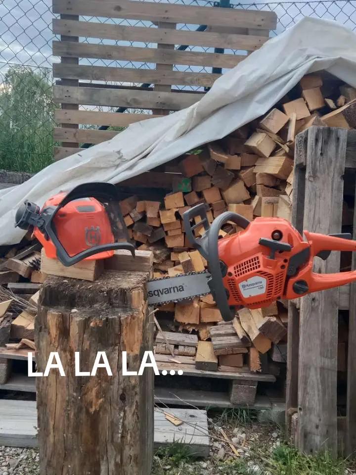@Forst_Husky_Eli🌲💪🤟🇦🇹