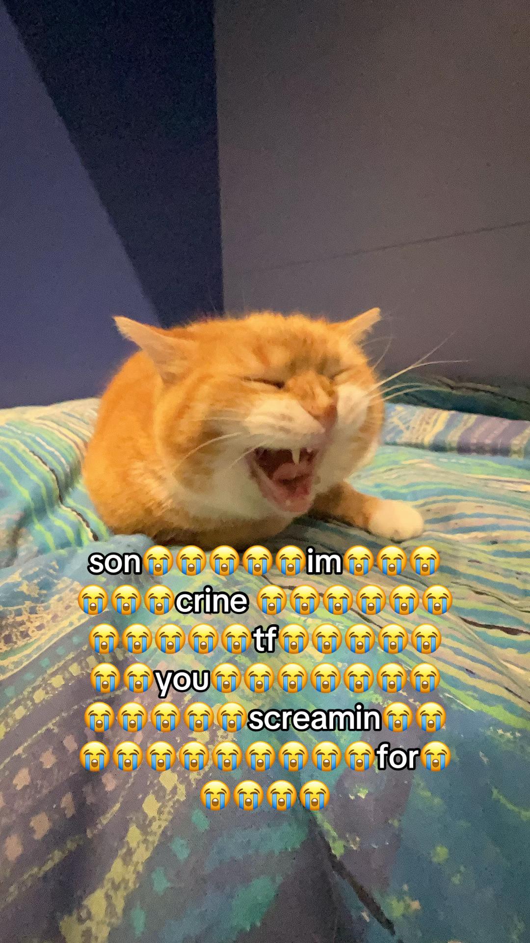 @Matteo