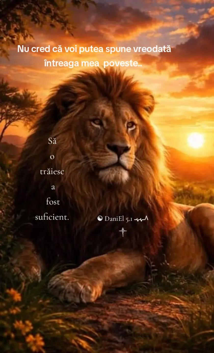 @☯ DaniEl 5.1 ٨ـﮩﮩـ