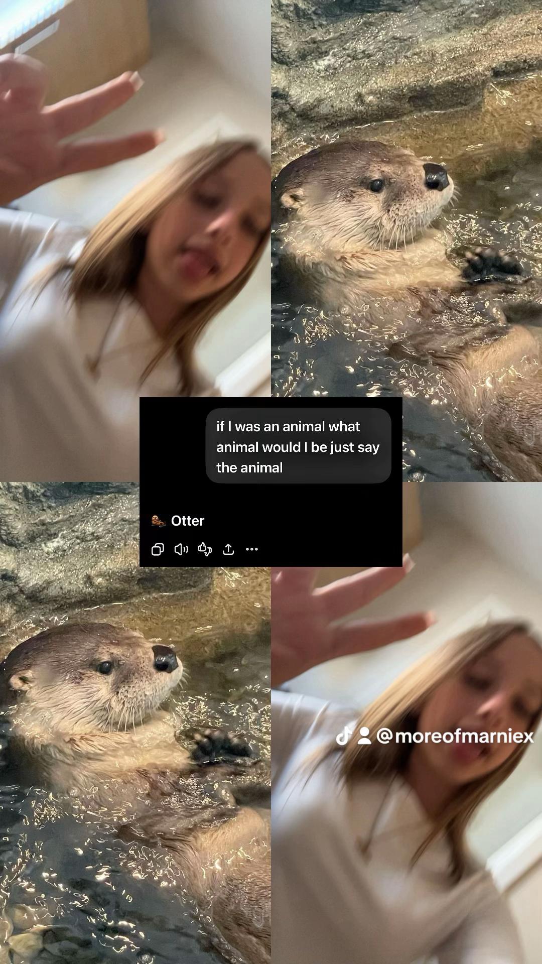 @moreofmarniex