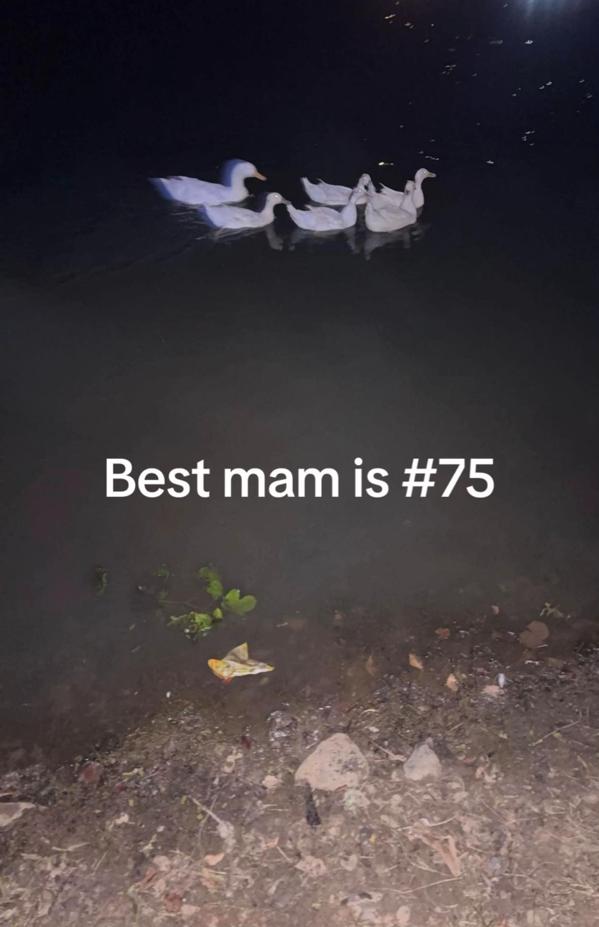 @𝓛𝓲𝓵𝓵𝔂