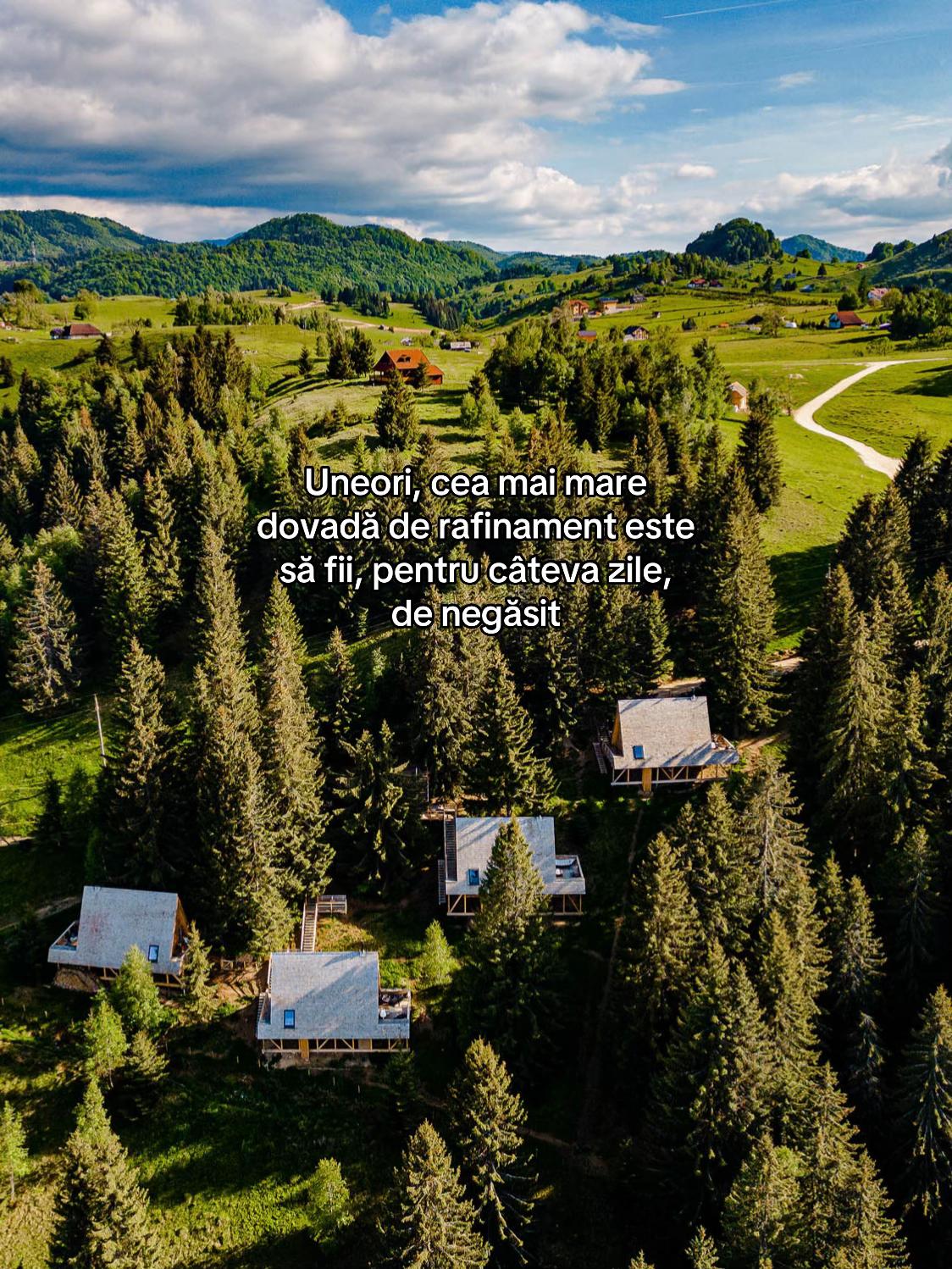 @Strajerii Verzi