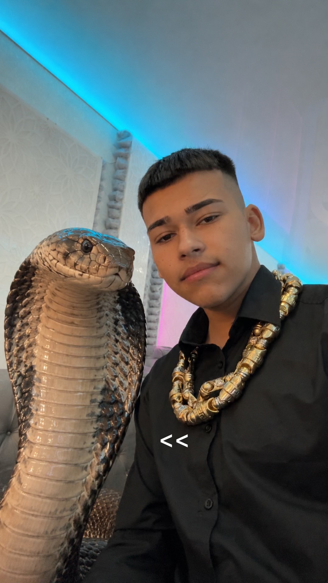 @𝙰𝚗𝚝𝚘𝚗𝚒𝚘_𝚅𝚊𝚜𝚒𝚕𝚎𝚠