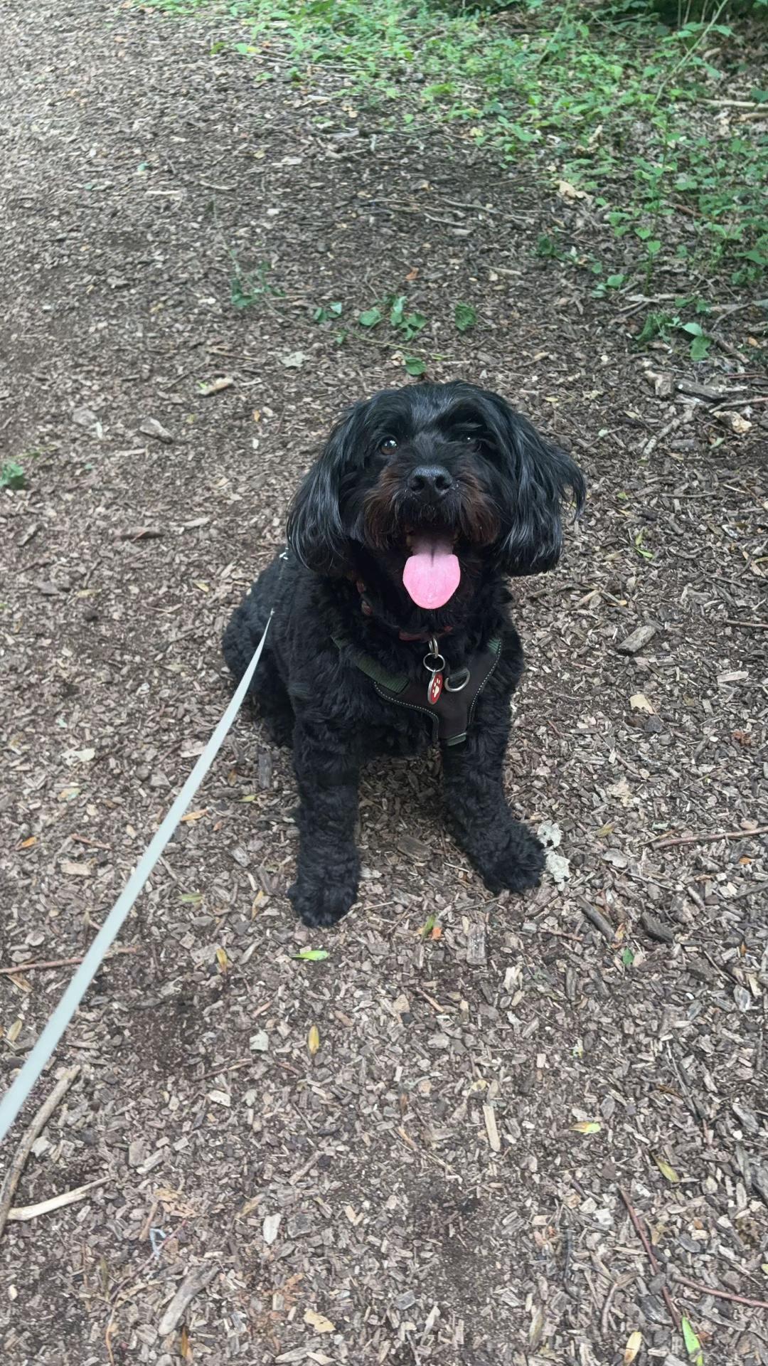 @tswoofwoof.co.uk