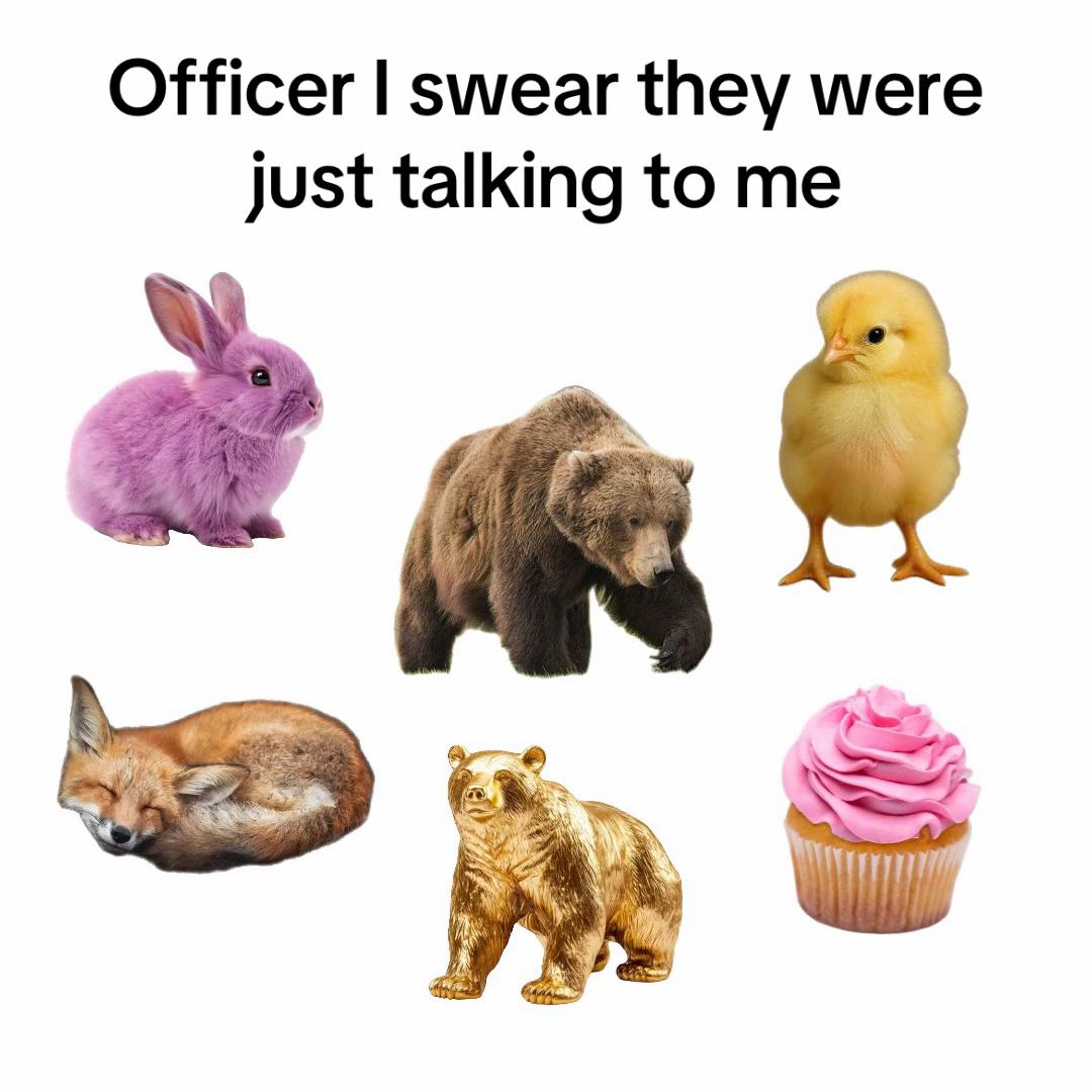 @Thank you Scott.
