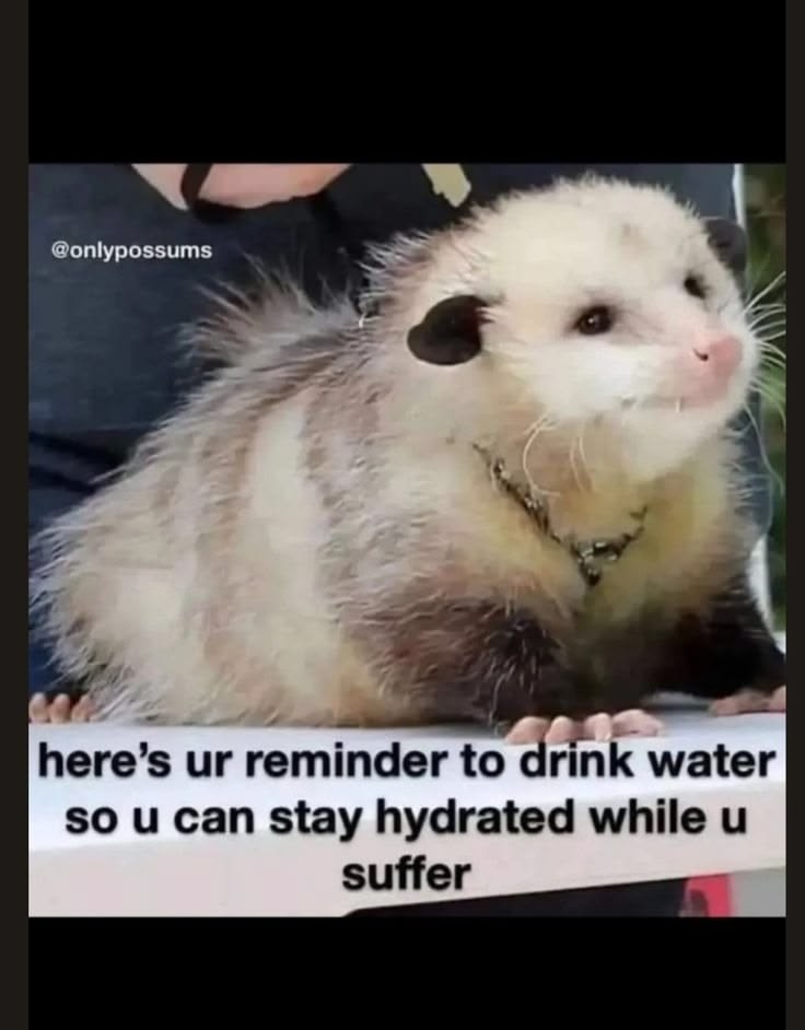 @S.P.J