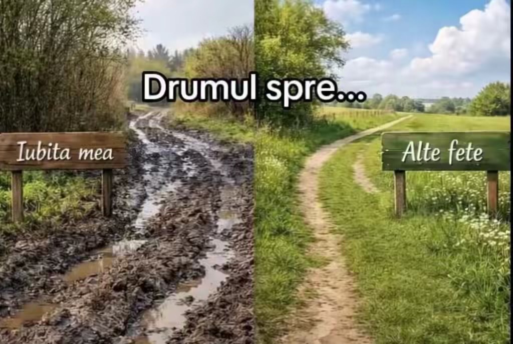 @Badea Jănea🫶💸