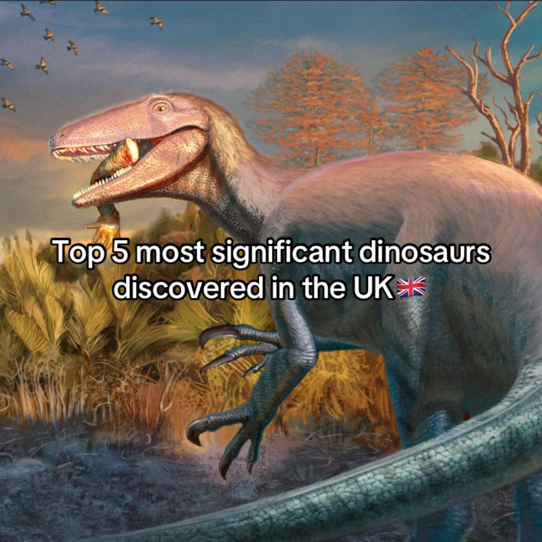 @Jason ☆🦖