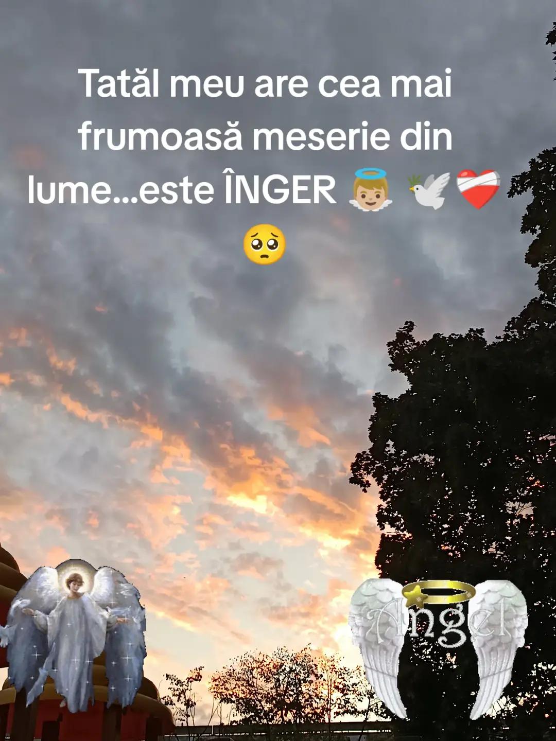 @Raluca Niculescu 👑❤️👑