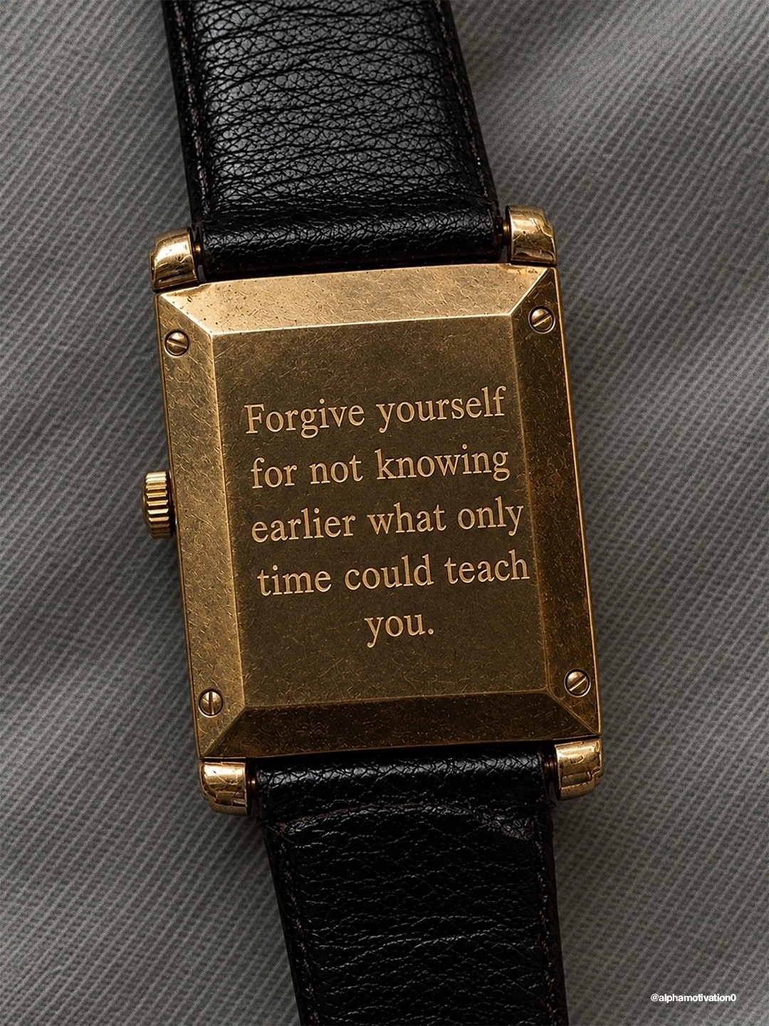 @Alpha Motivation