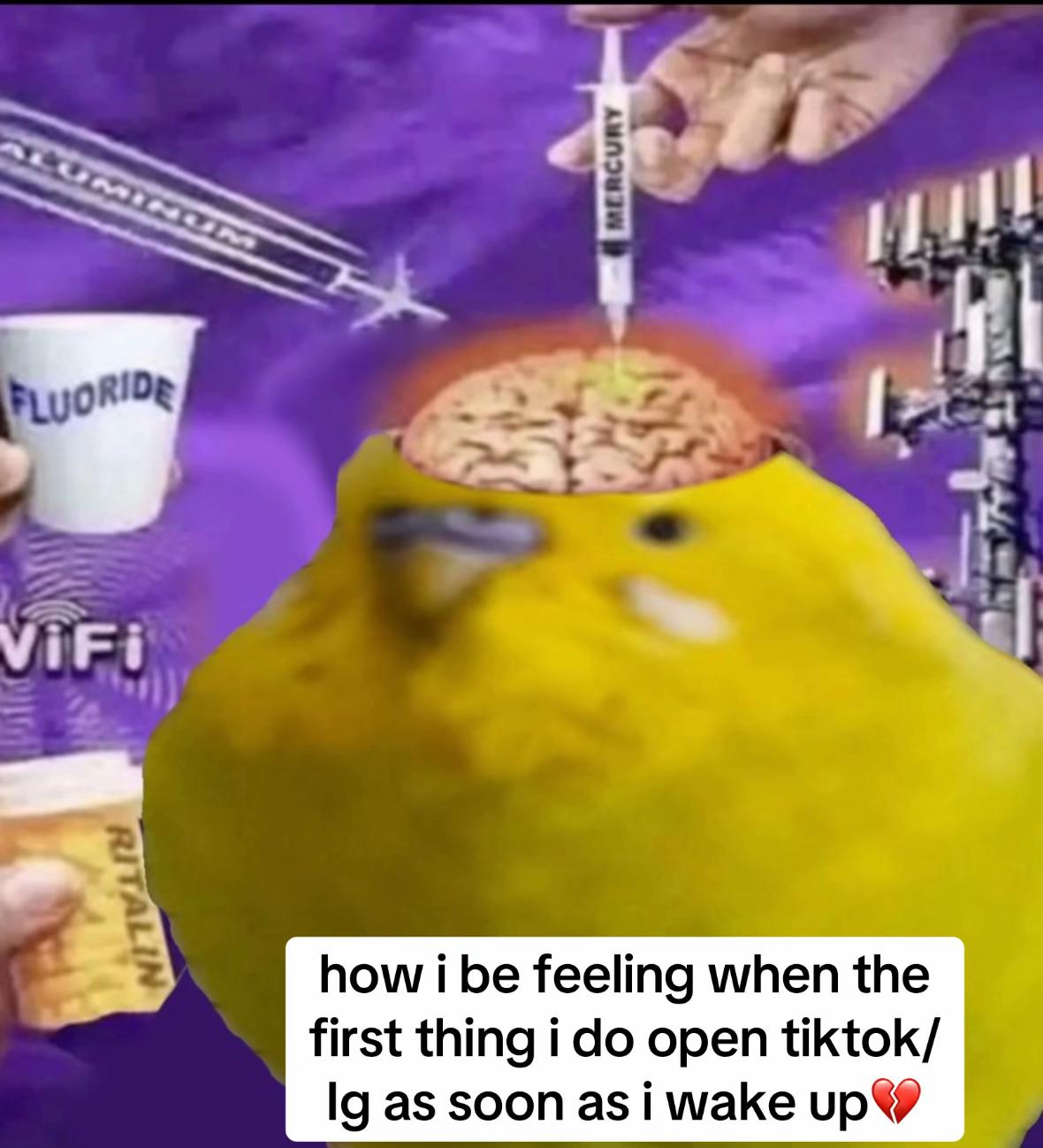 @Raven