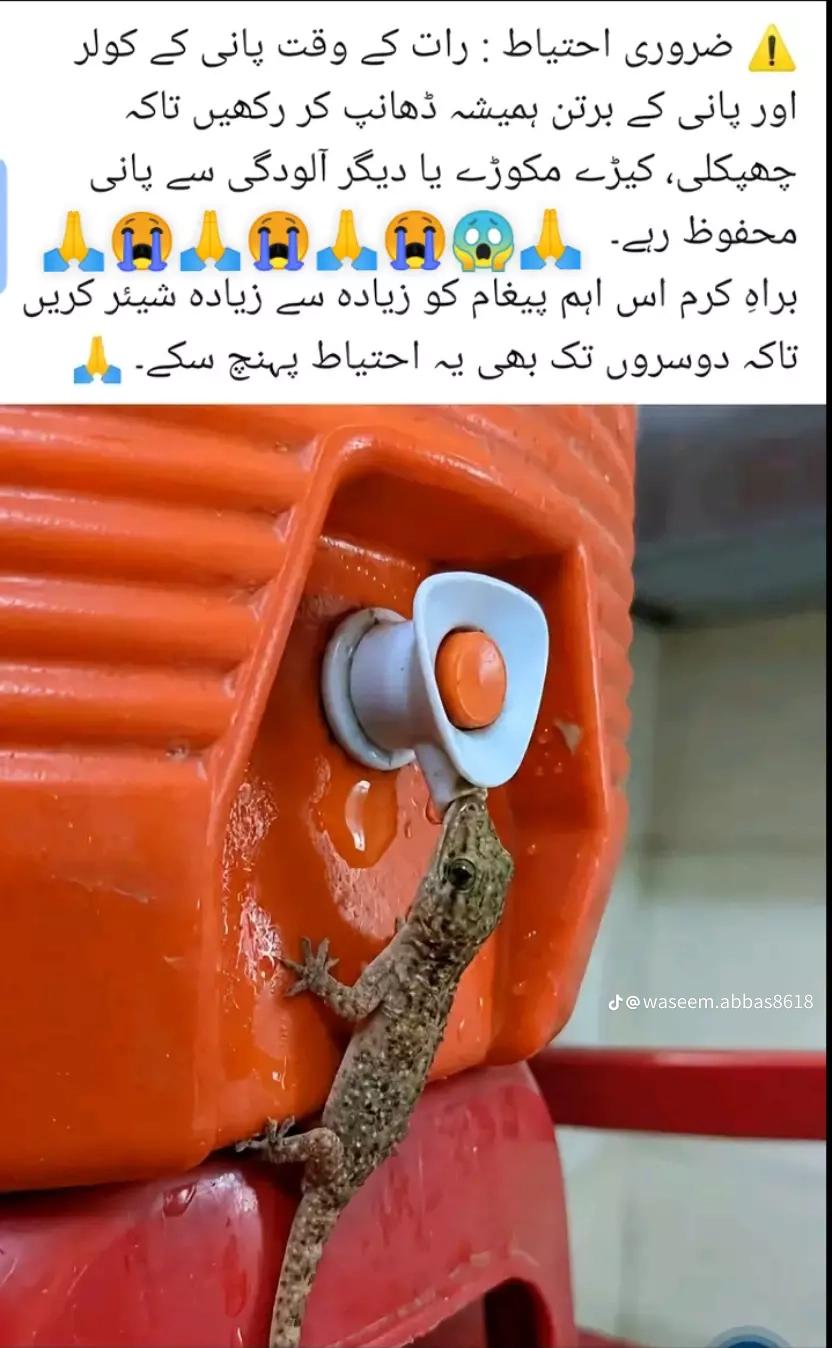 @ad786❤💞💞