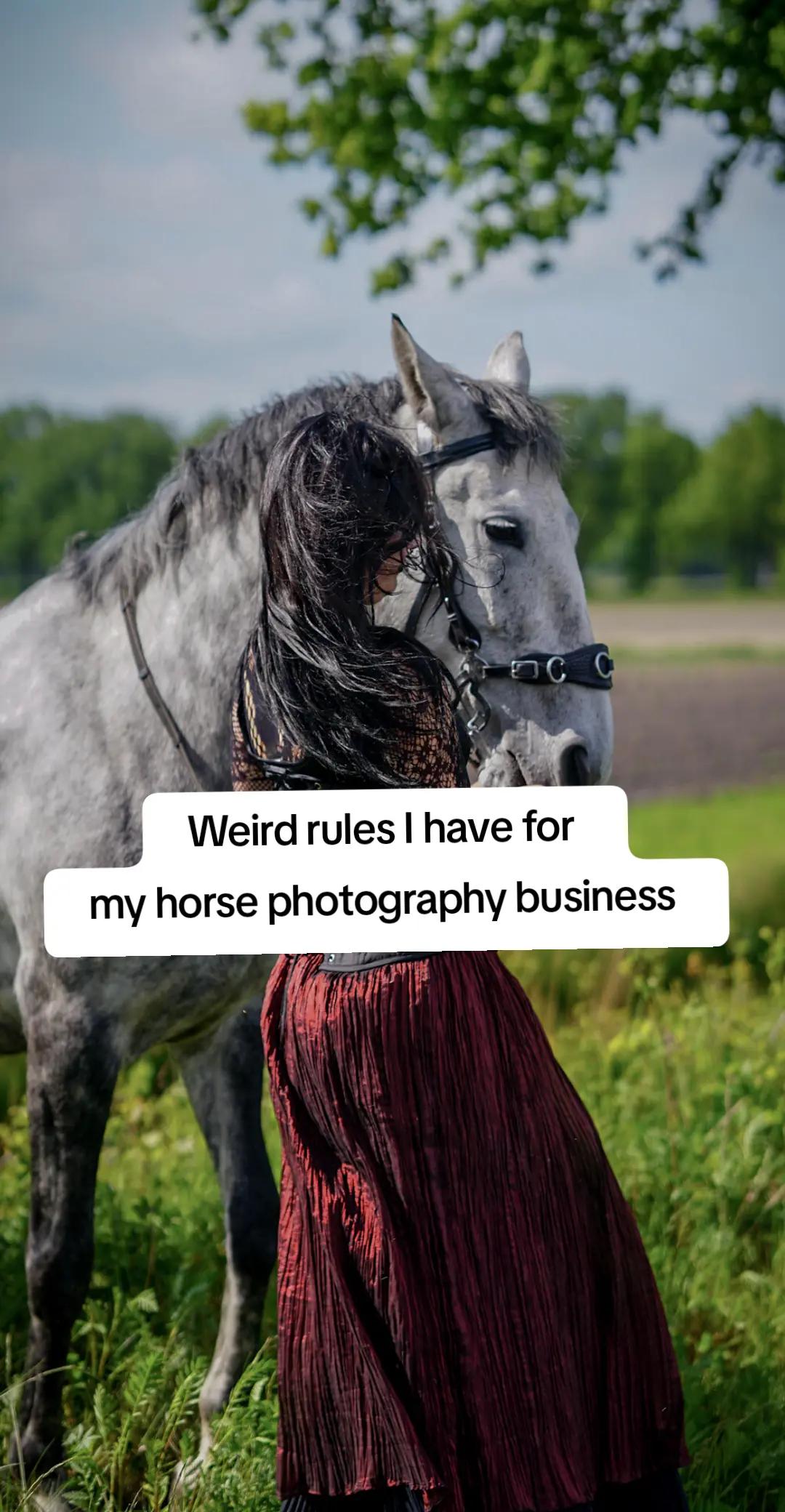 @Dino and horses