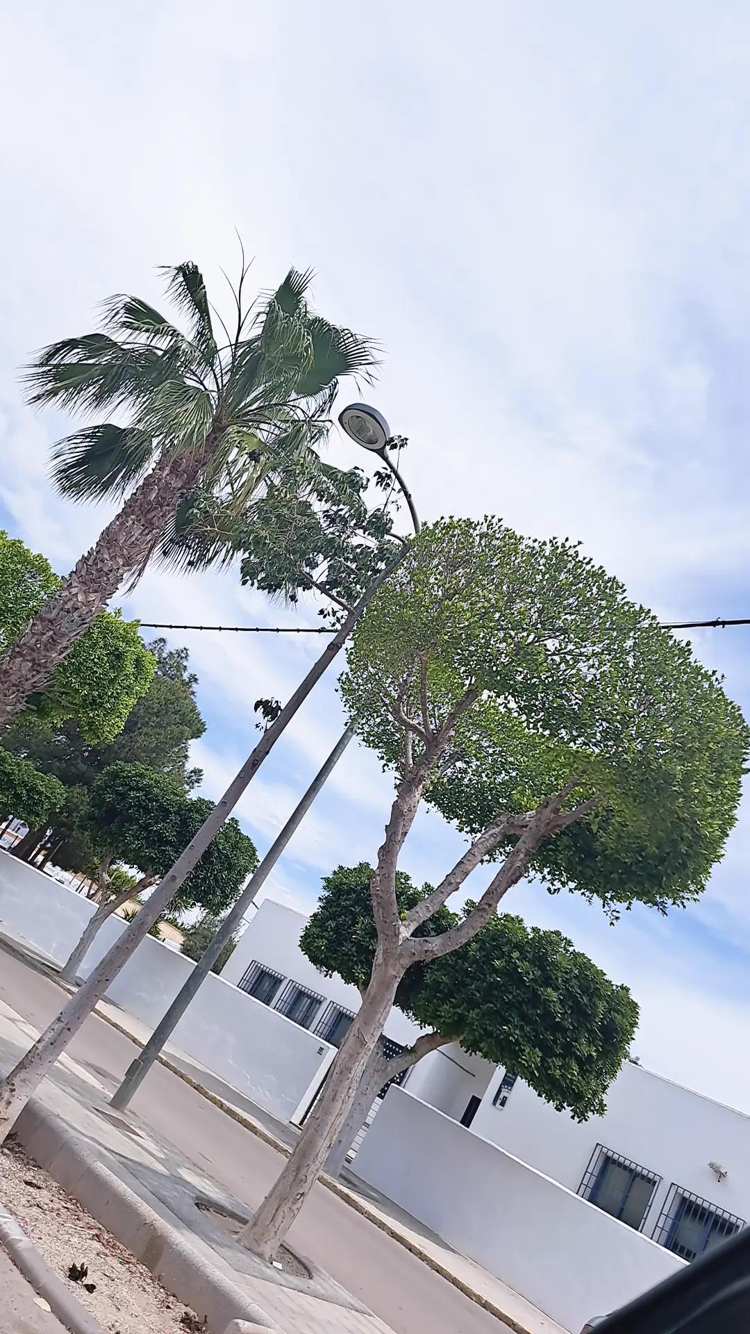 @فتاة 😍❤️