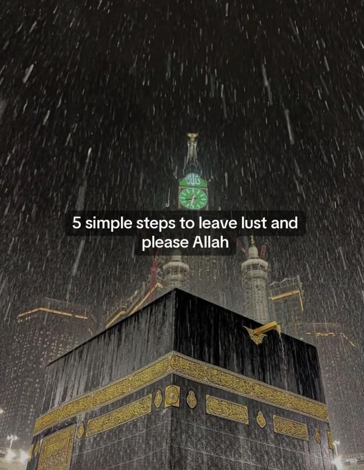@halaltalks1