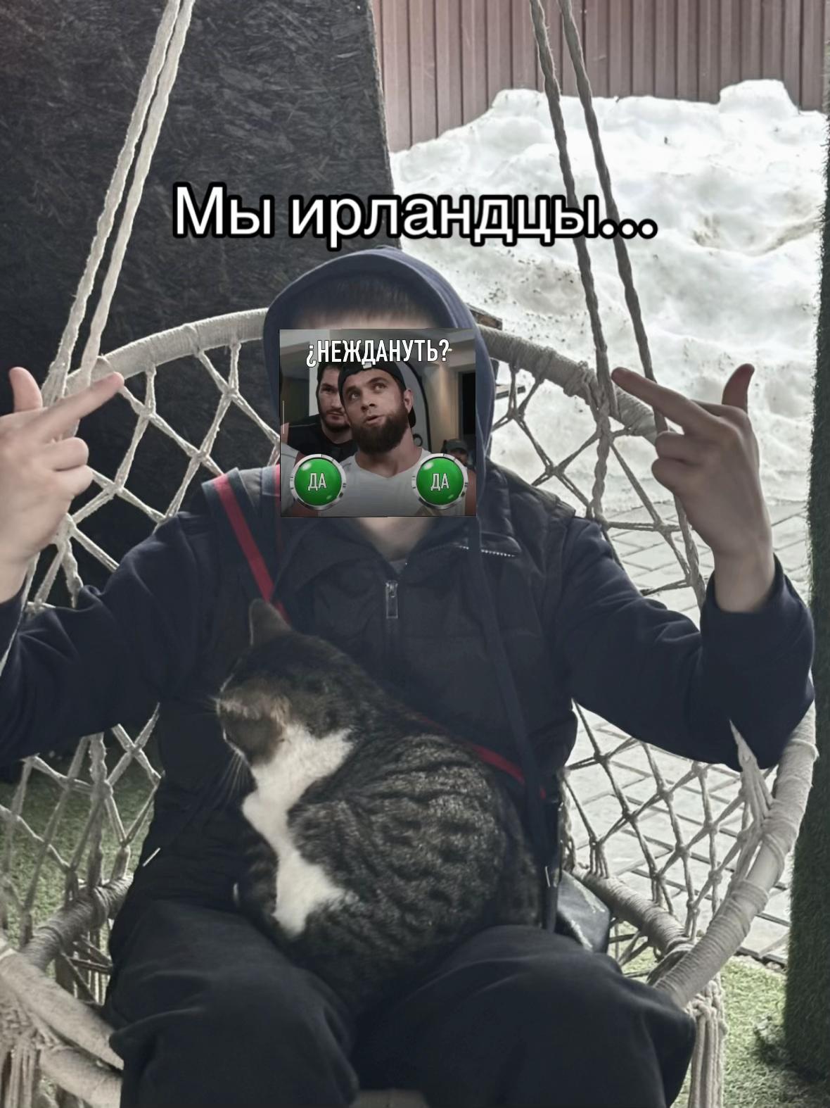 @safin#tiger