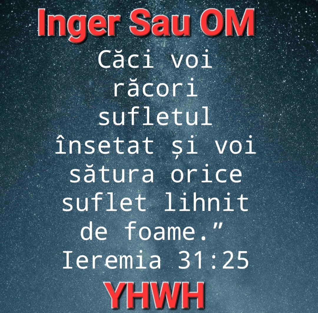 @DAN._.Inger.Sau.OM