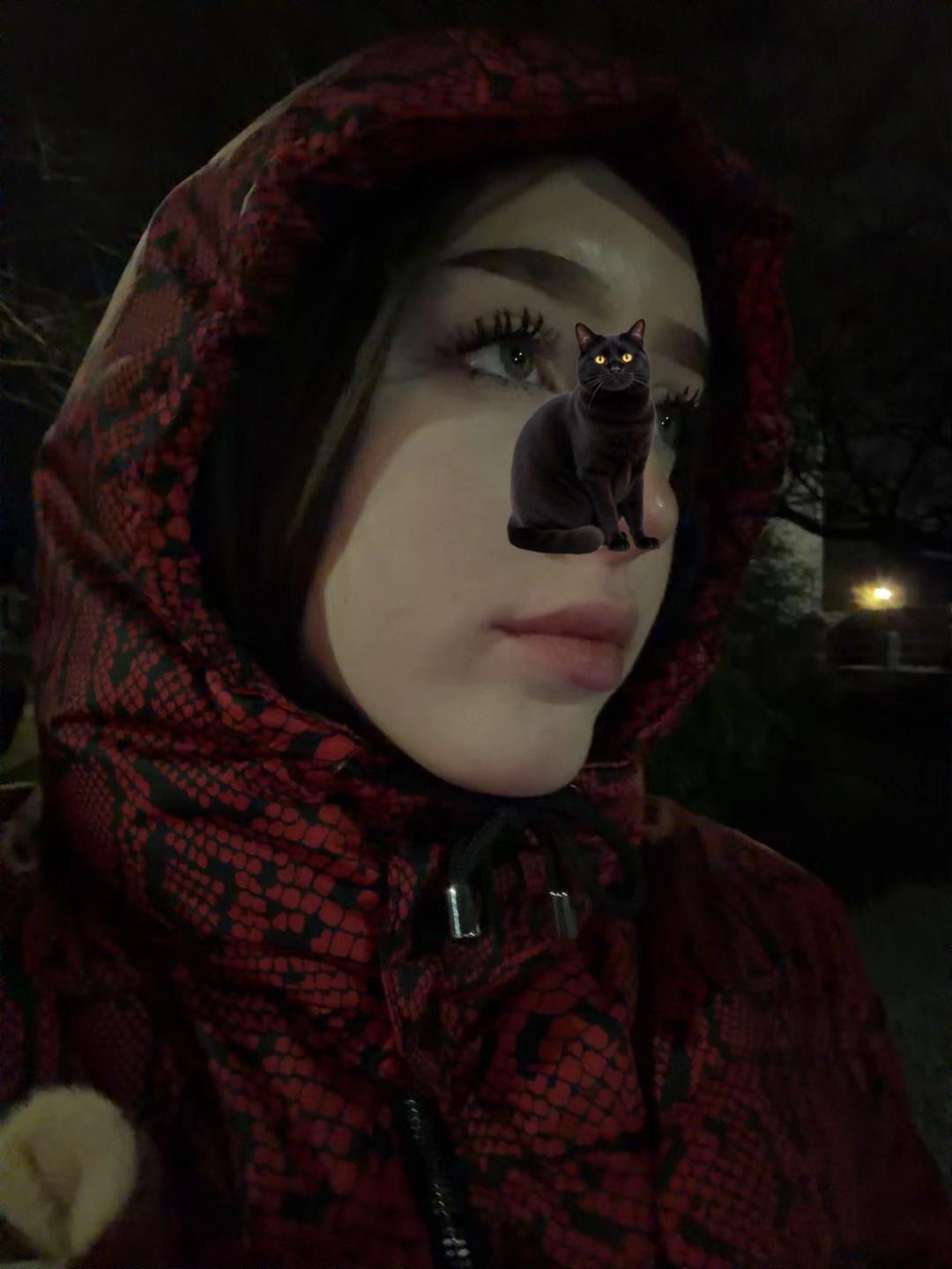 @🐼