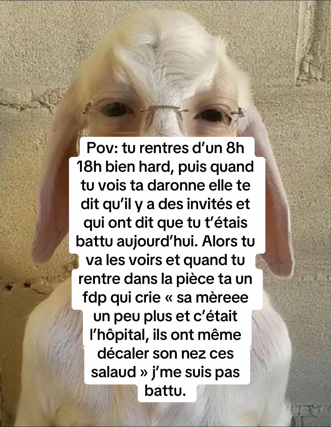 @GTx_Znox •
