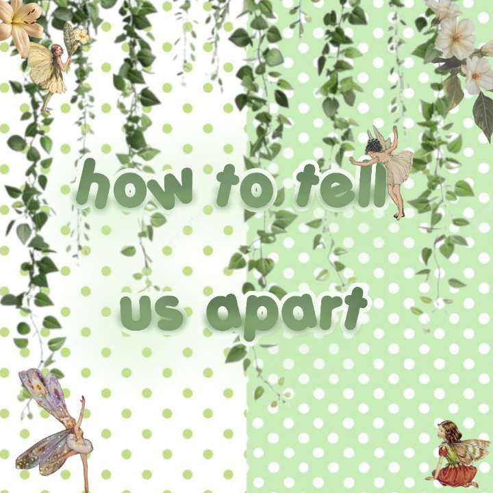 @êªá©§Íð² ð
υá©Í á§Ì¶áª¶á©Æ××
Öα×
᪲ ൟ à£