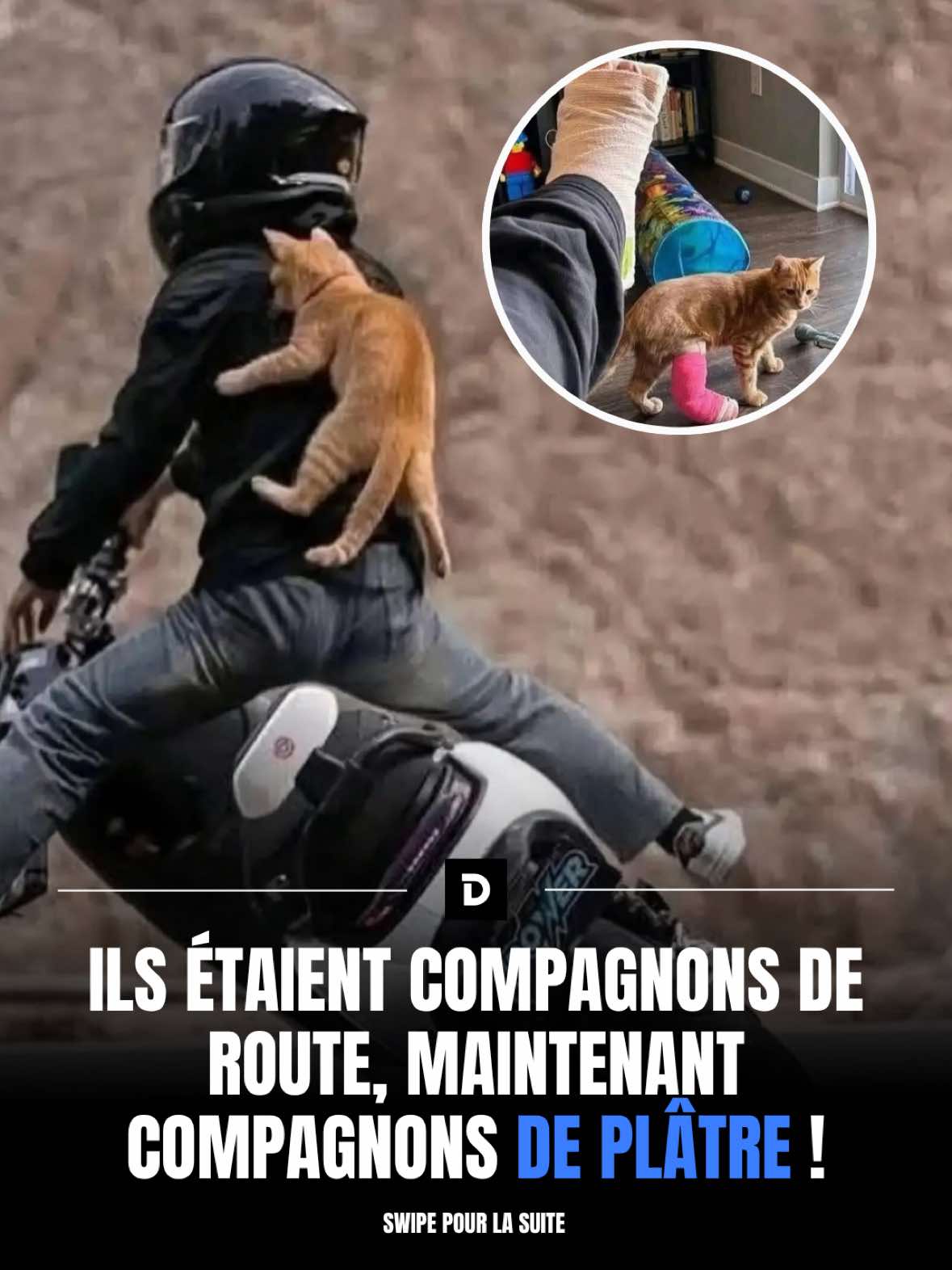 @Demotivateur