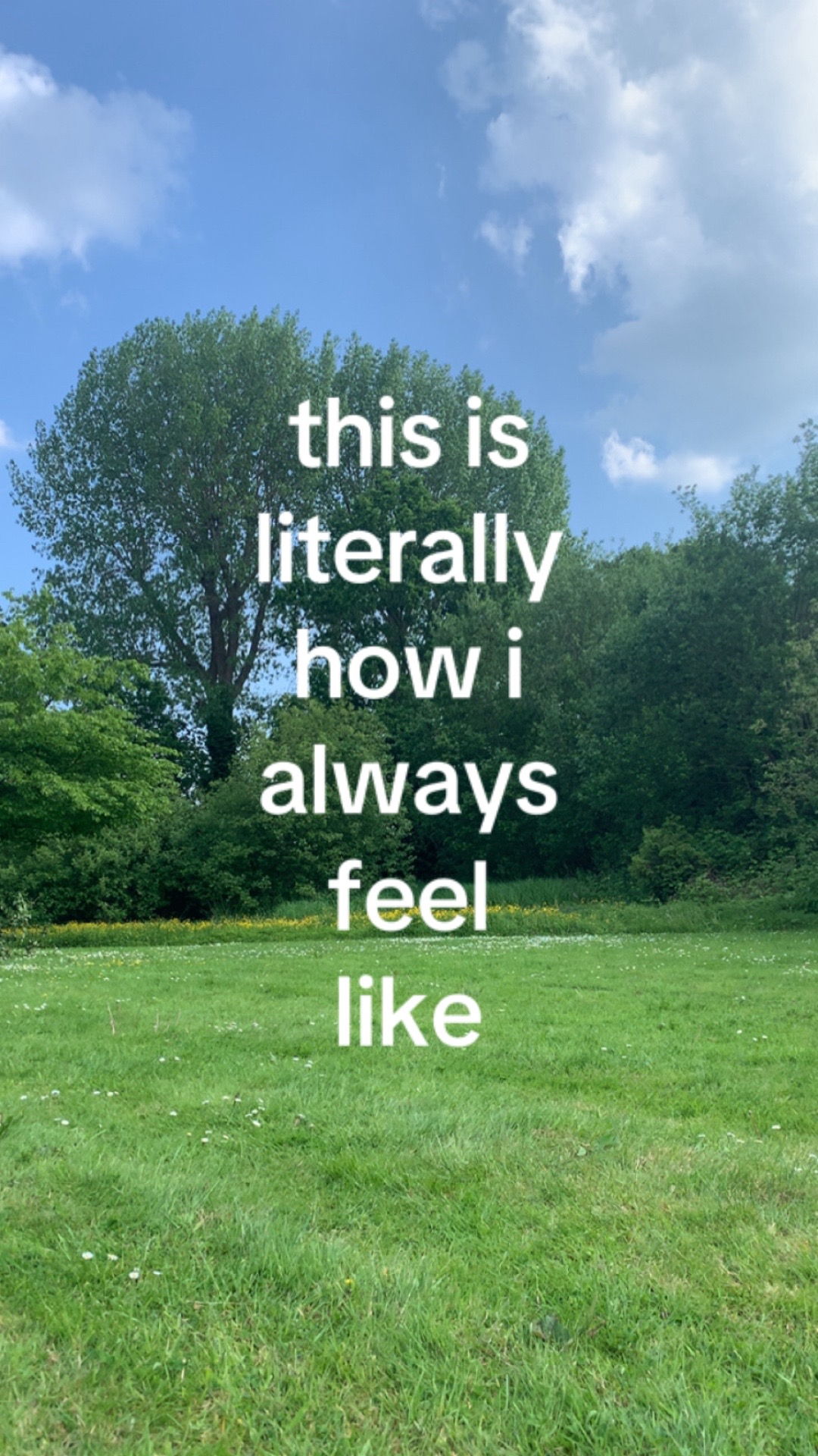 @ion een curr