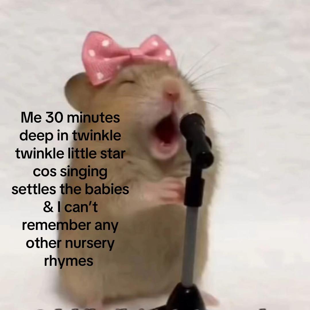 @bellsandthetwins