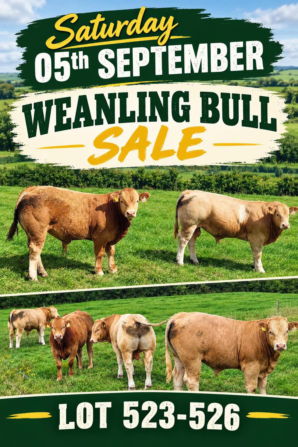 @Carrigallen_Mart