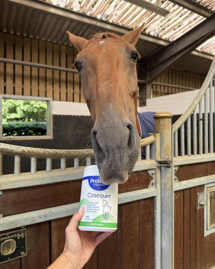 @Protexin Equine