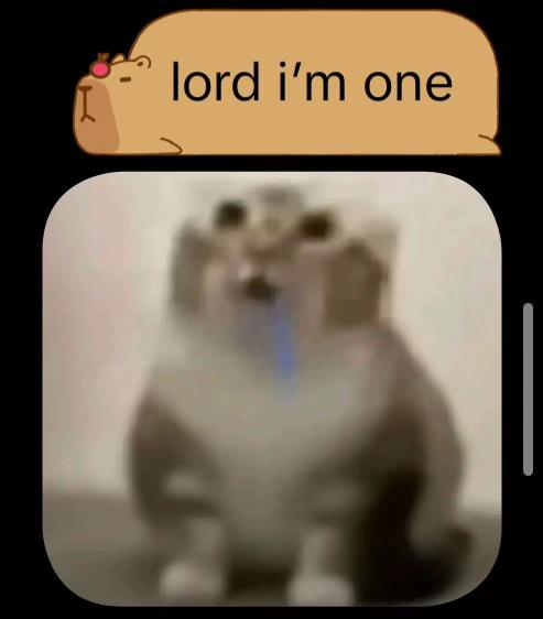 @꧁༺𝑹𝑰𝒁𝑬𝑲_𝑱𝑩𝑳༻꧂
