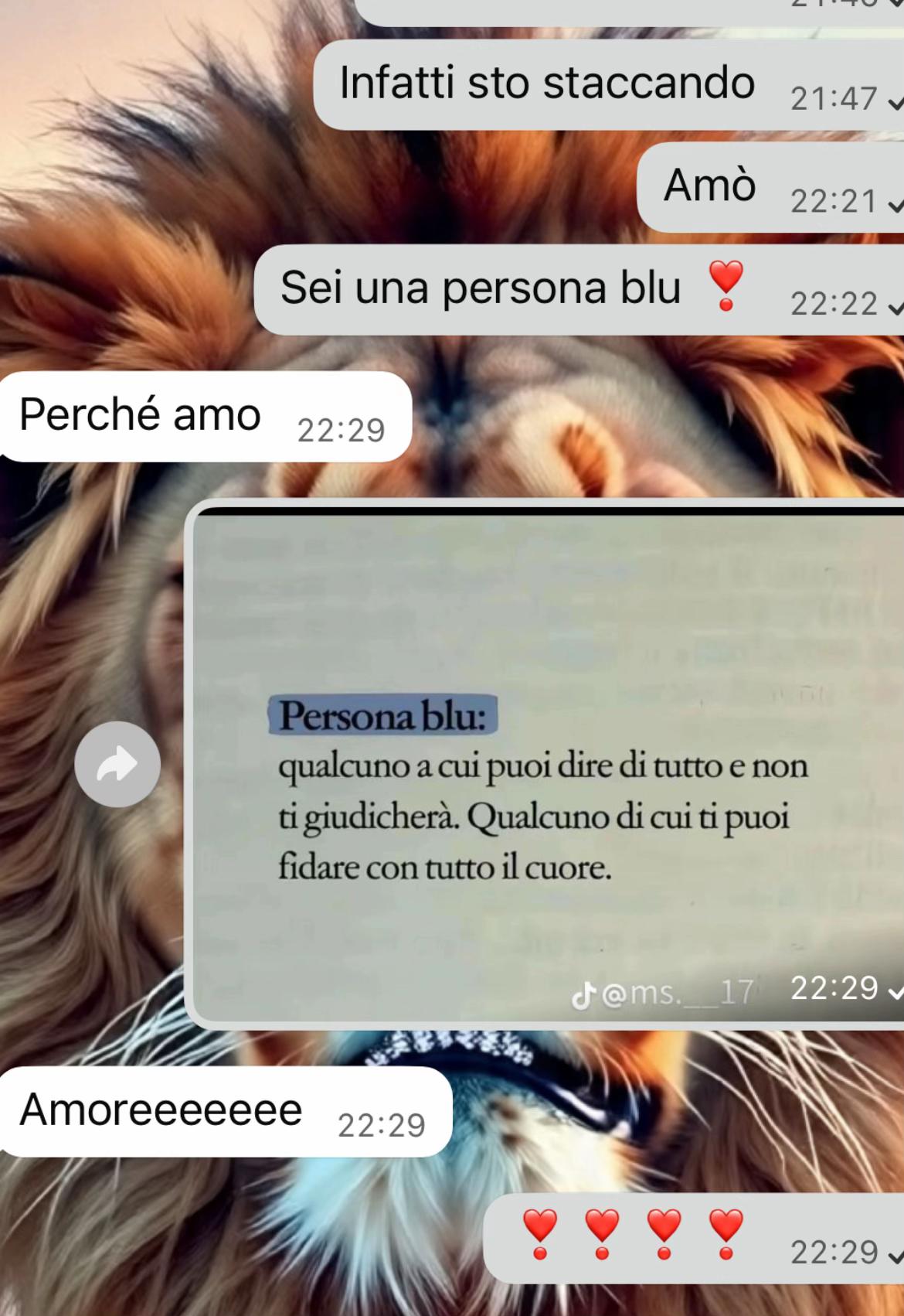 @mi_chiamo_ai🐶🪼🦌🦊🐘🐺❤️&zwj;🩹